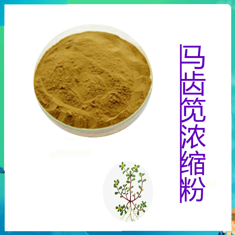 马齿笕浓缩粉   粉末流动性好   含多种营养成分   国标生产   包邮