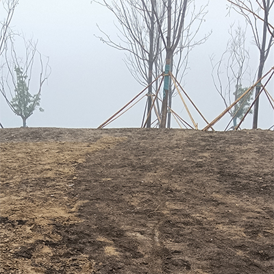 供应园林绿化养花种植人工草炭土有机腐熟育苗用营养土