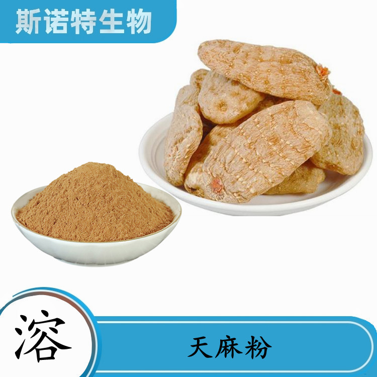 天麻粉 水溶浓缩喷雾干燥天麻素 斯诺特生物