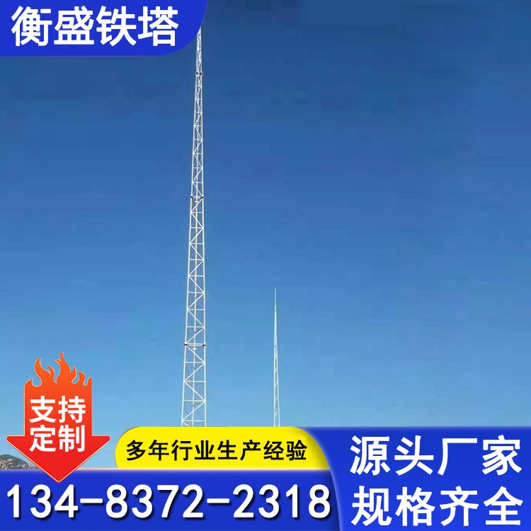避雷针 防雷接闪杆三角形避雷塔 放电速度快 建筑物防雷检测服务