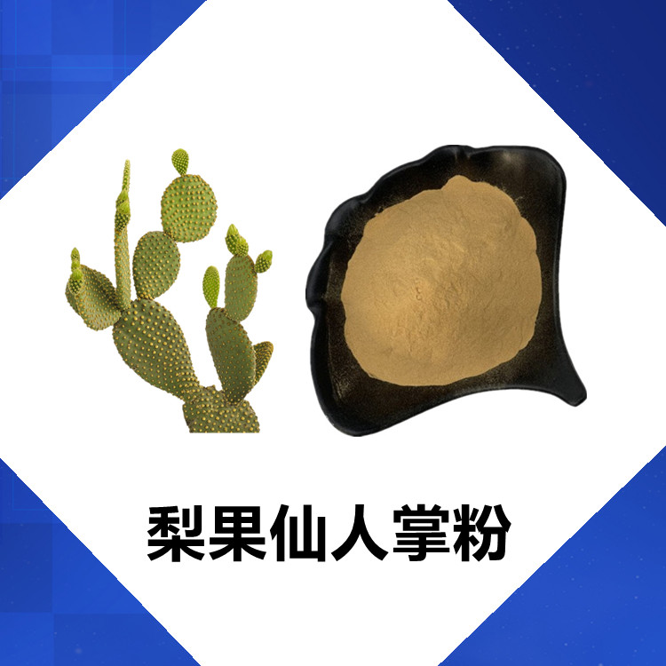 梨果仙人掌粉 浓缩萃取工艺 粉末疏松细腻 食品饮料原料  2kg起订