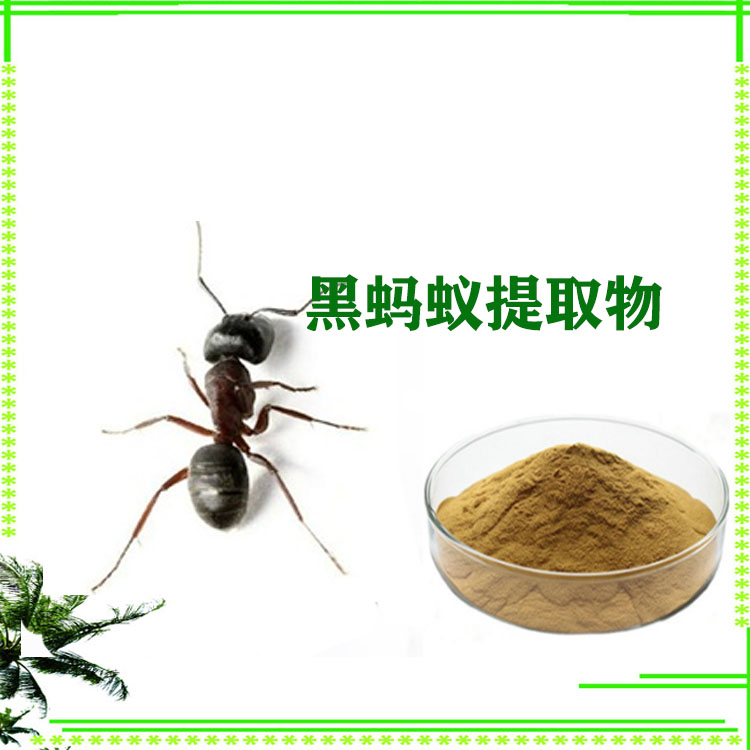 沃特莱斯生物 黑蚂蚁提取物 速溶粉 萃取粉 1公斤起订 可寄样