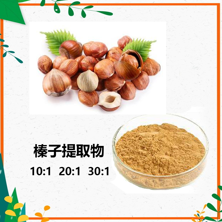 榛子提取物 10:1 水提 多规格比例 榛子粉 榛子提取液