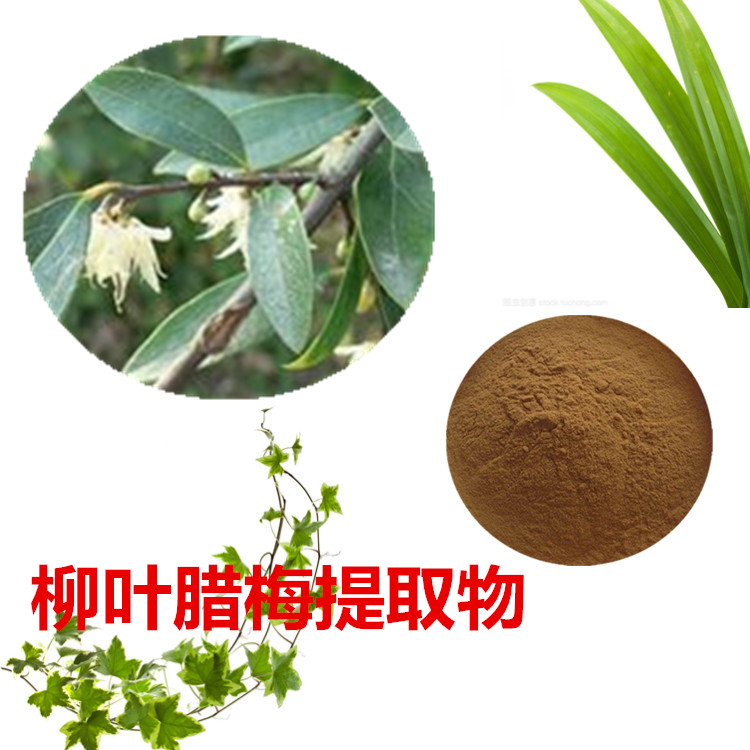 柳叶蜡梅提取物 10:1 水提 多规格比例 柳叶蜡梅浸膏
