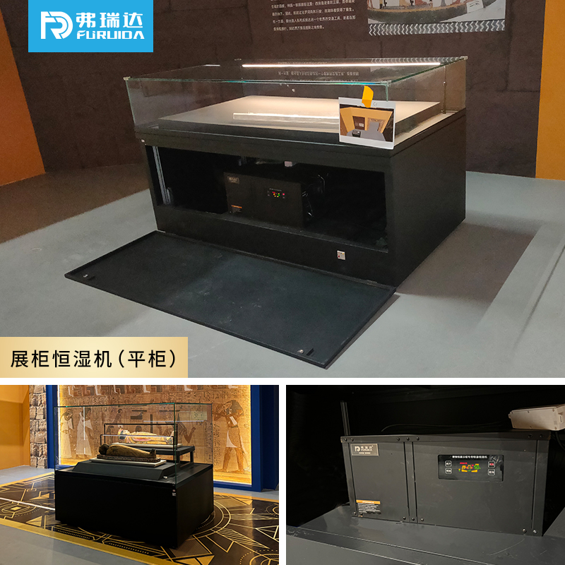 弗瑞达展柜恒湿机-恒湿净化一体机-博物馆平柜案例展示