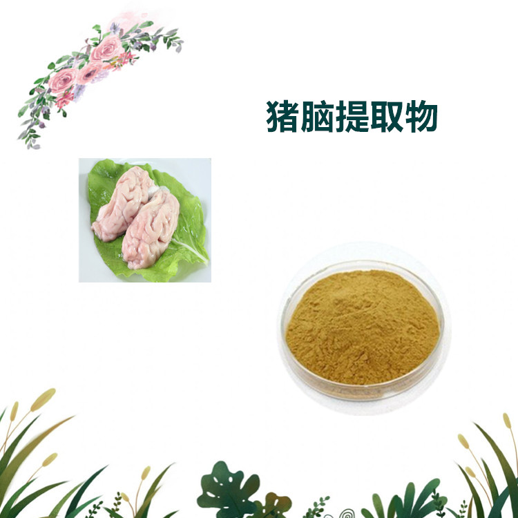 沃特莱斯生物 猪脑粉 猪脑萃取粉 猪脑喷雾干燥粉 1公斤起订