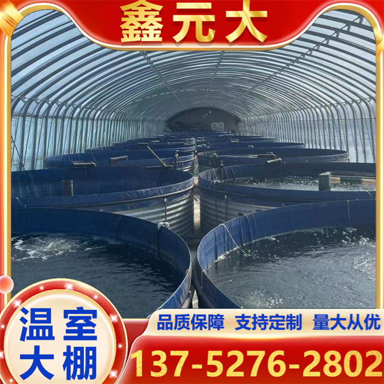 水产大棚搭建 蔬菜温室的造价 空间利用率高 可定制加工