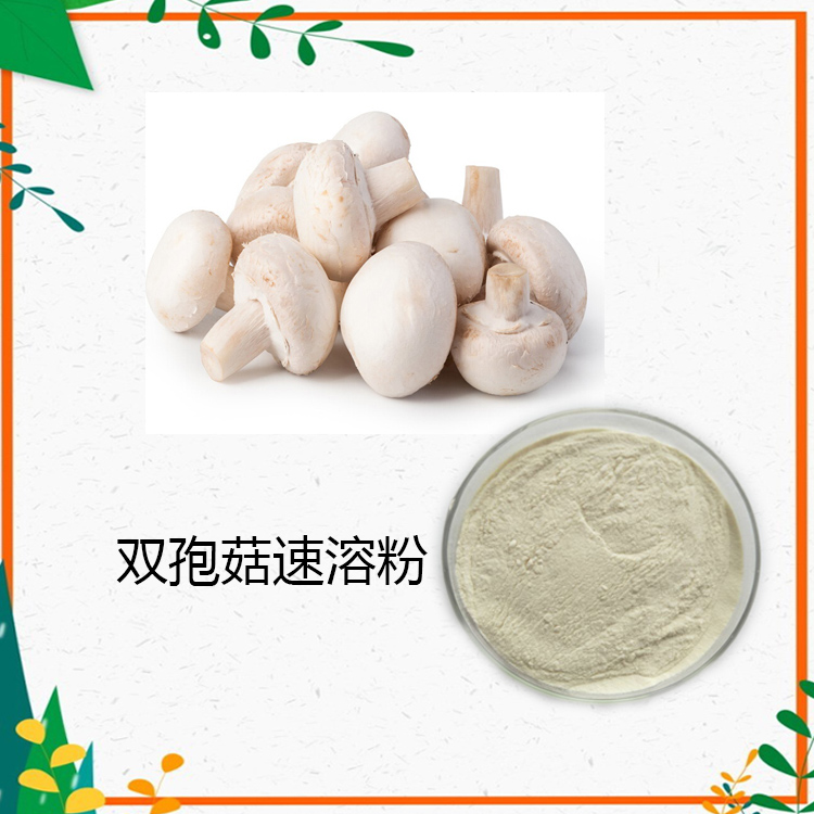 双孢菇提取物 10:1 水提 双孢菇多糖 30% 双孢菇粉