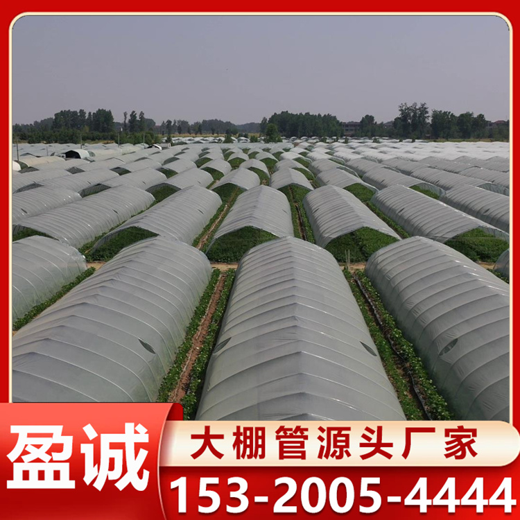 30*80椭圆管大棚 来图加工 抗压西瓜插地棚 加工定制