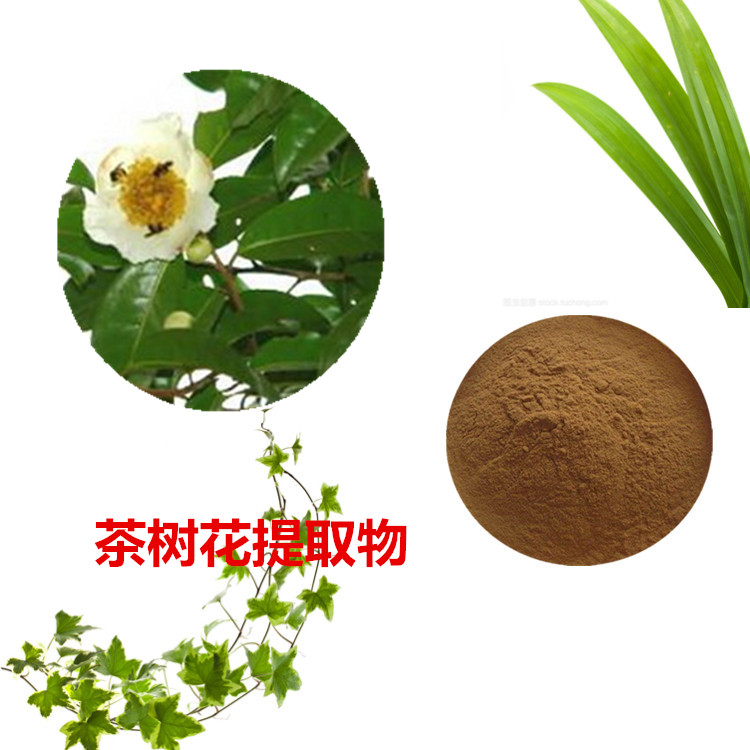 茶树花提取物 10:1 水提 茶树花多糖 30% 茶树花粉