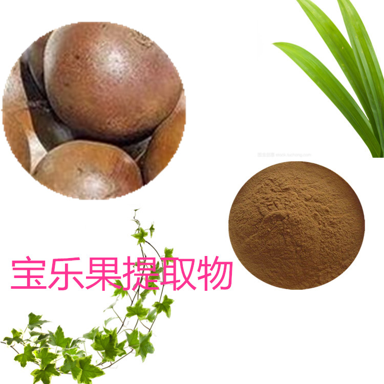 宝乐果提取物 10:1 水提 宝乐果粉 宝乐果浓缩粉 5倍浓缩