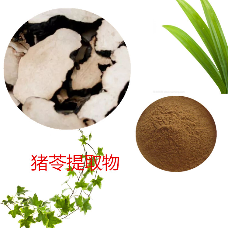 猪牙皂提取物 10:1 水提 猪牙皂浸膏 猪牙皂多糖 30%