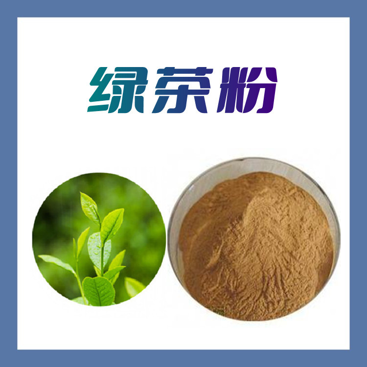 绿茶粉 六盘韵生物  10:1比例  提取物 品质保证  库存充足