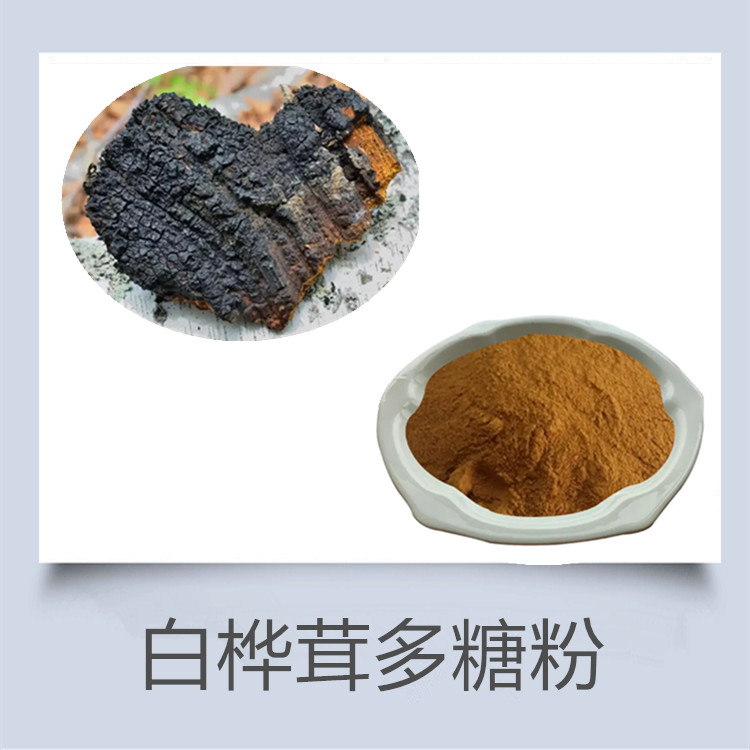 白桦茸肽粉 桦褐孔菌多糖 桦树茸多肽  提供外检