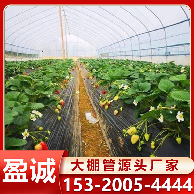 草莓棚 智能玻璃温室 物联网控制系统智慧农业