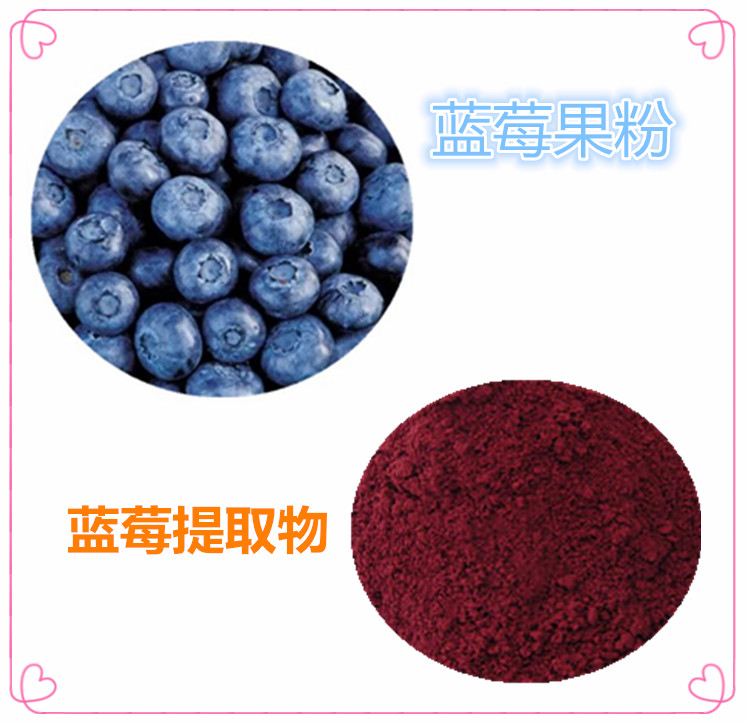 蓝莓果粉 蓝莓酵素粉 蓝莓浓缩汁 提取物 10:1 水提