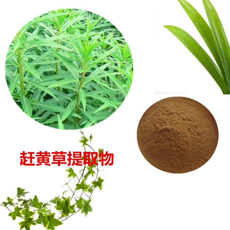 赶黄草提取物 10:1 水提 赶黄草浸膏 赶黄草水溶粉 80目