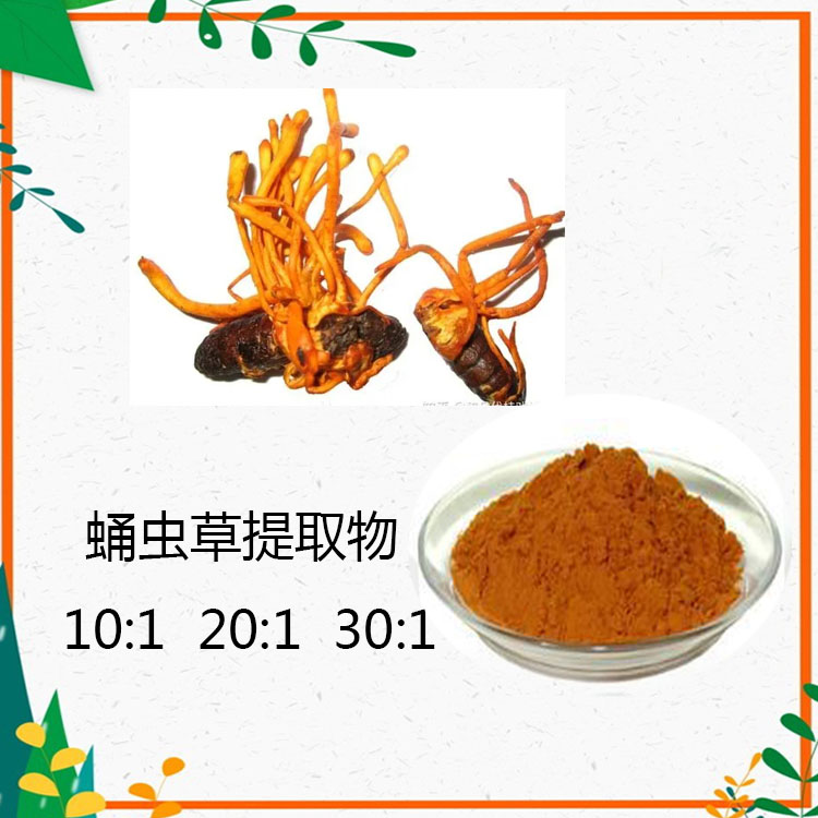 蛹虫草提取物 10:1 蛹虫草粉 蛹虫草多糖 30% 50%