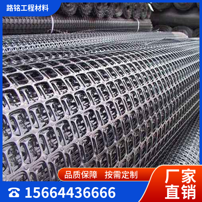塑料土工格栅厂家  欢迎咨询