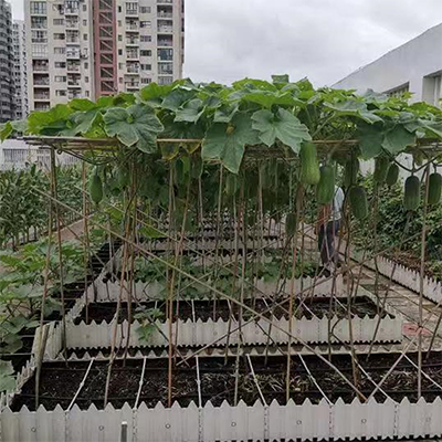 映天青含水率30%轻质土屋顶种植土整体容重轻减少压力营养丰富利排水