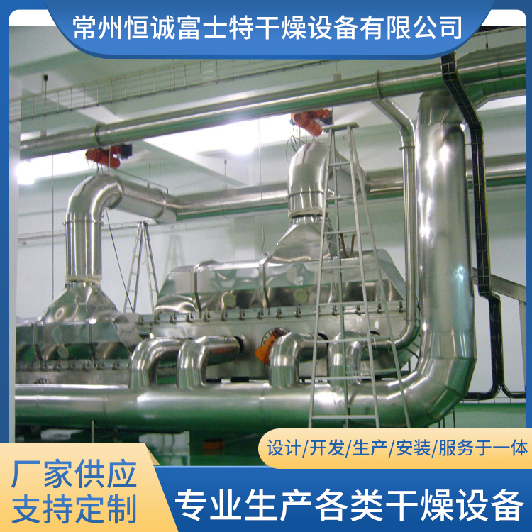 恒诚富士特 振动流化床 可定制  藕粉颗粒生产线