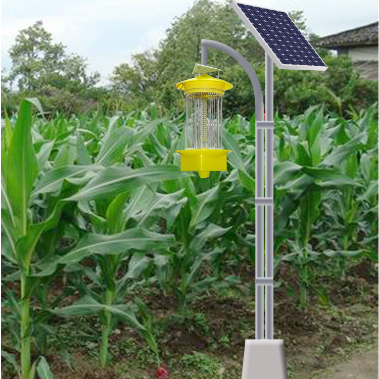 太阳能杀虫灯 厂家直销