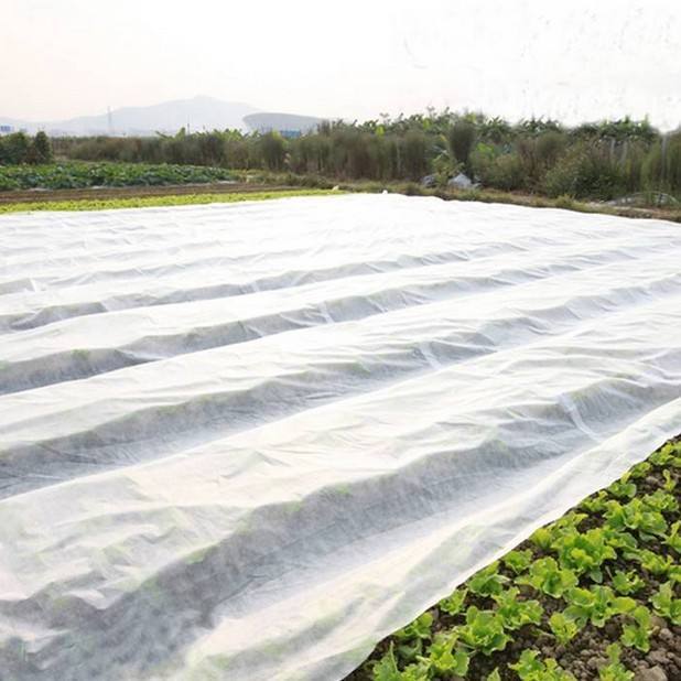SSMMS无纺布 淋膜 覆膜防水 防油 防水施工布