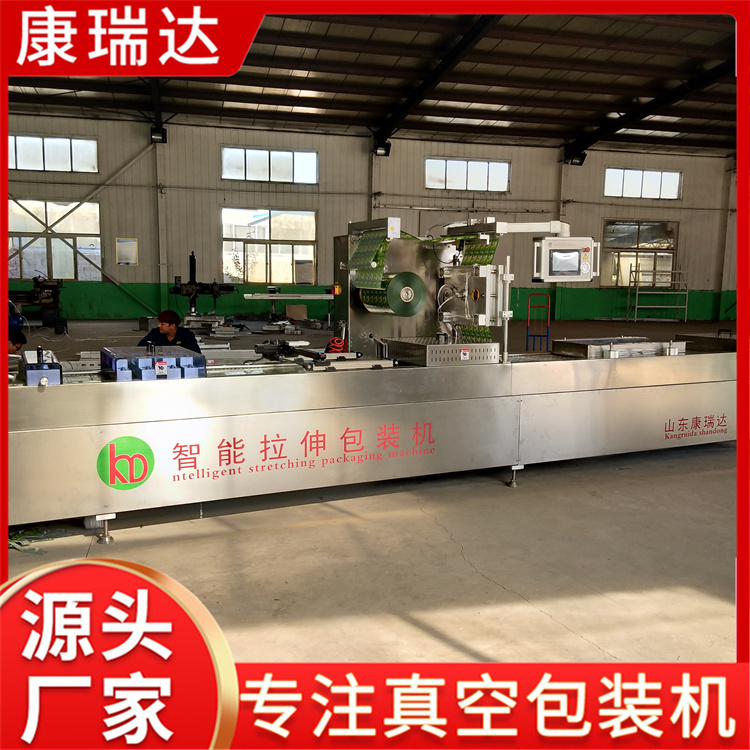 牛肉干拉伸膜包装机定制
