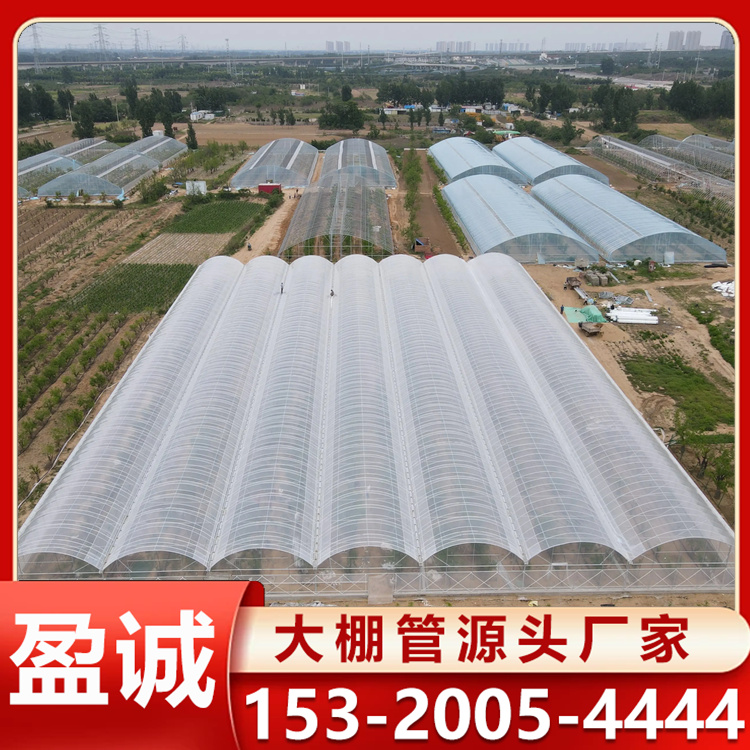 蔬菜薄膜连栋大棚 安装方便简易 大棚材料定制加工 抗风能力较强