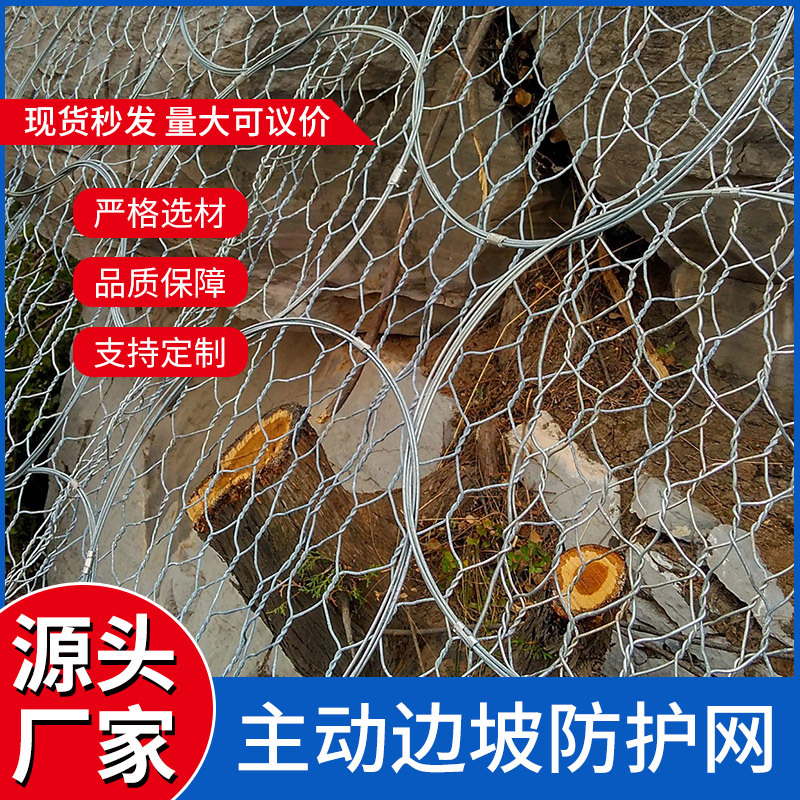 边坡防护网 环形网 被动防护网 护坡网