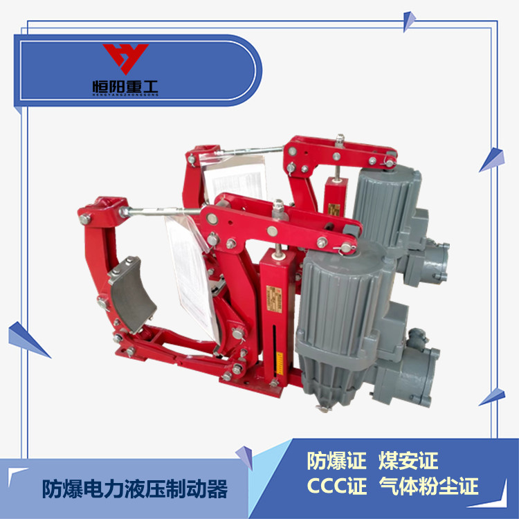 气体防爆电力液压制动器YWZ5-300/30发货快