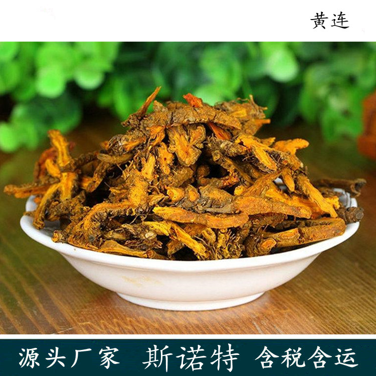黄连浓缩粉 斯诺特生物 三遍熬煮 可拿样检测