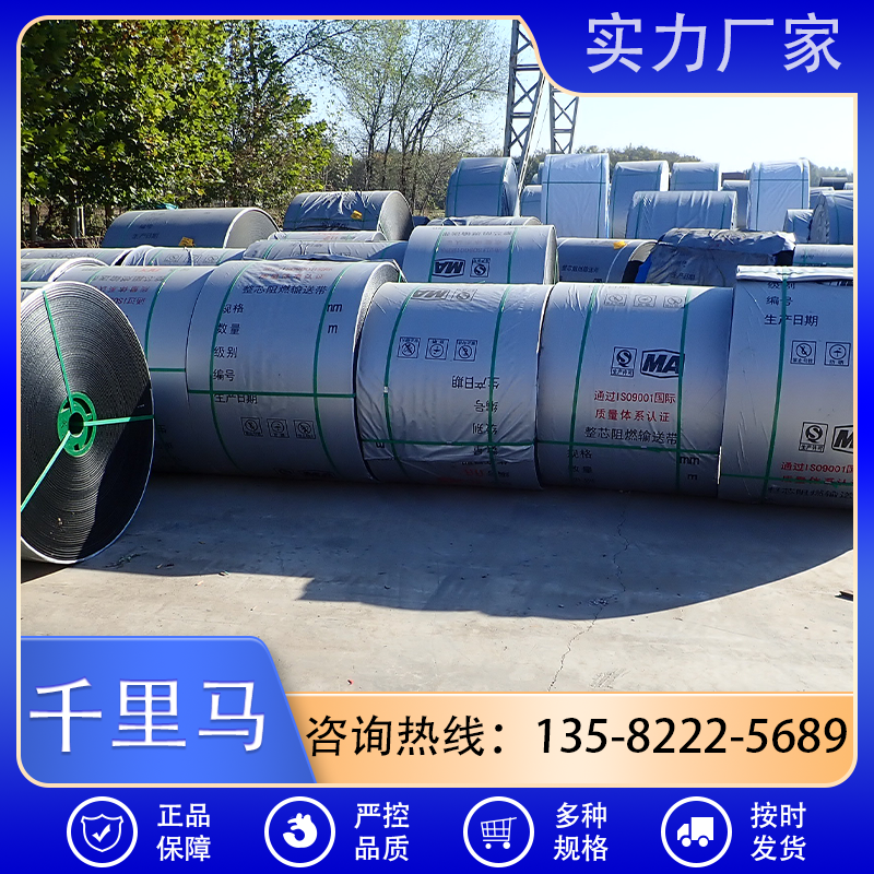 千里马 尼龙输送带厂家直销 按需定制 质量保障