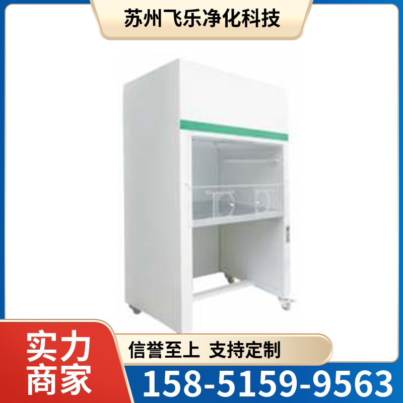 医用型单人净化工作台 超净工作台 飞乐