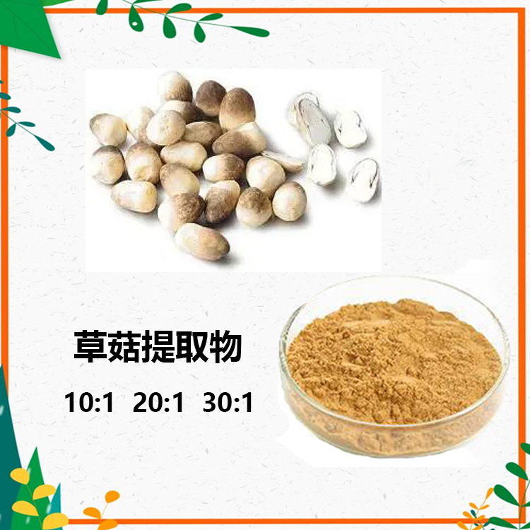 草菇提取物 10:1 水提 多规格比例 草菇多糖 30% 草菇粉