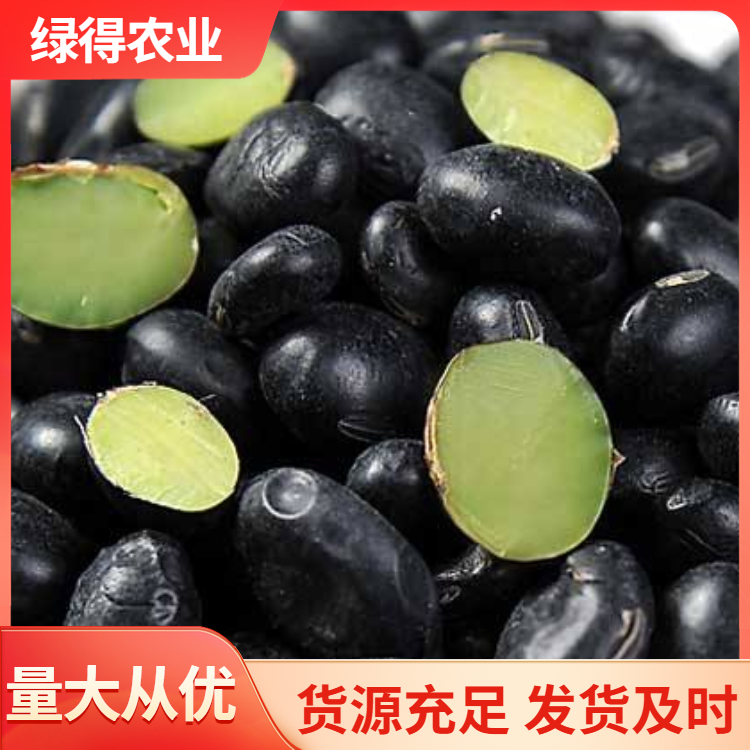 黑大豆商家