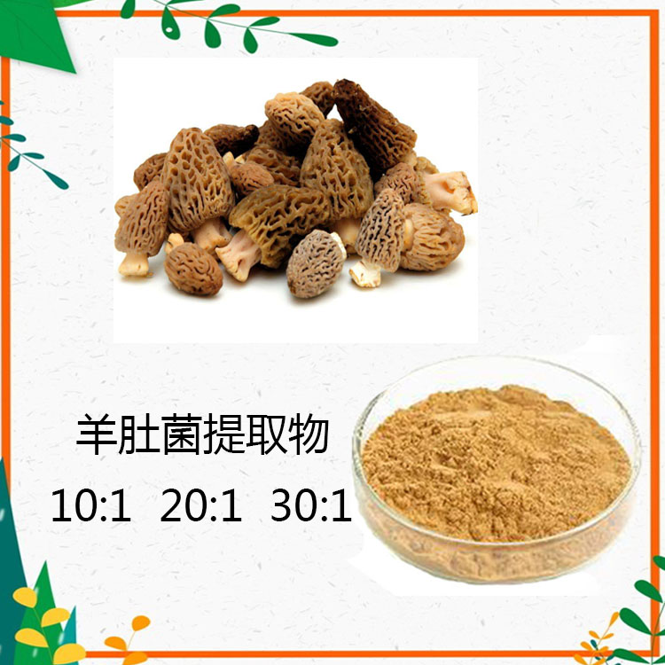 羊肚菌提取物 10:1 水提 羊肚菌粉 羊肚菌多糖 30%