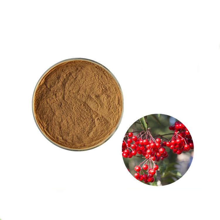 山茱萸粉 浓缩萃取多规格 斯诺特生物