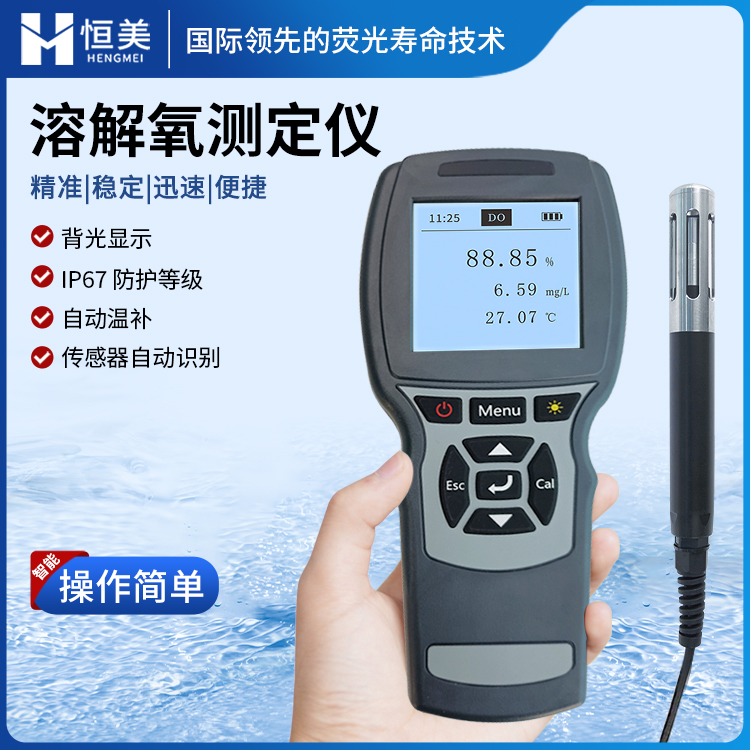 溶氧仪 溶解氧测定仪 溶解氧分析仪