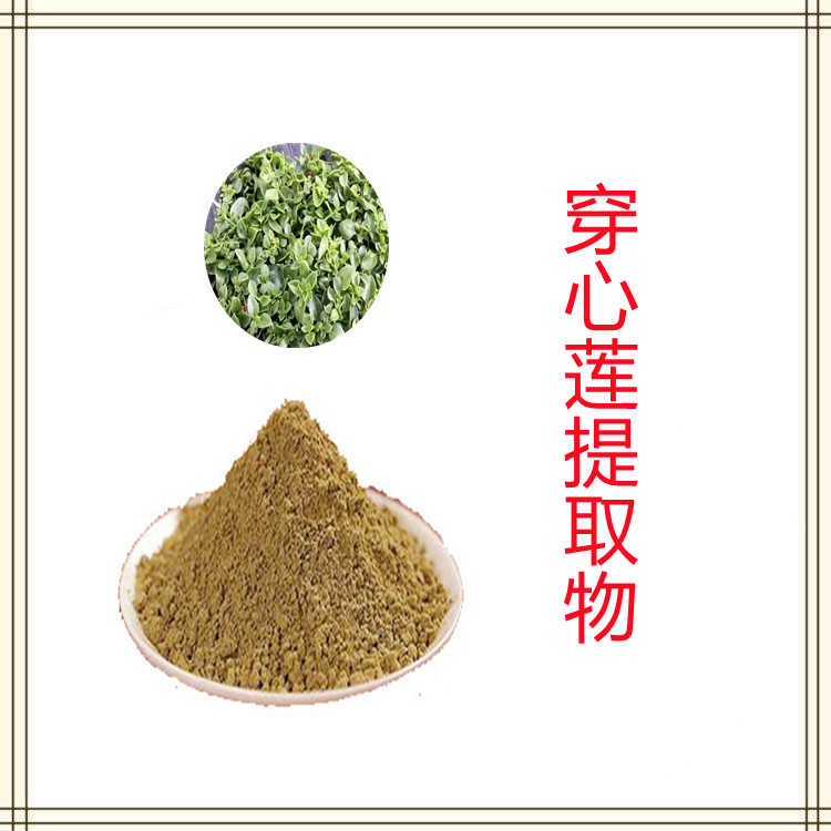 穿心莲提取物  含多种营养成分  全水溶  国标生产  固体饮料 质量稳定