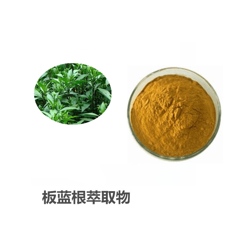 板蓝根提取物 板蓝根多糖 可定制不同规格 提供样品 斯诺特生物