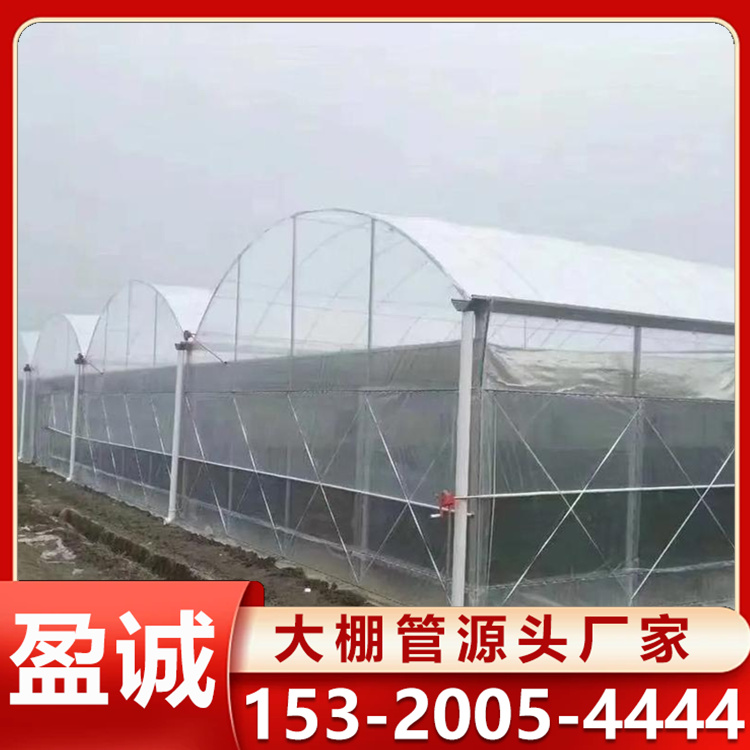 玻璃温室 连栋大棚 蔬菜花卉种植 大棚骨架 耐腐蚀 透光率好