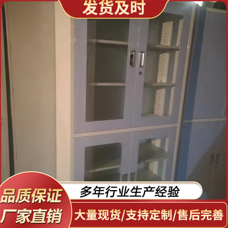 器械柜 敷料柜双门柜档案存放订制柜
