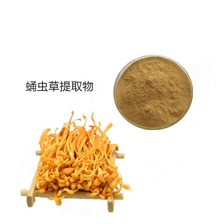 水溶蛹虫草粉 浓缩提取 斯诺特生物 拆包打样定制 可来料加工