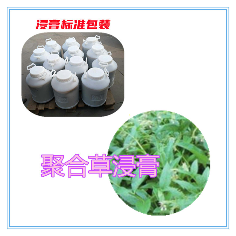 聚合草提取物 10:1 水提 多规格比例 聚合草浓缩粉 5倍