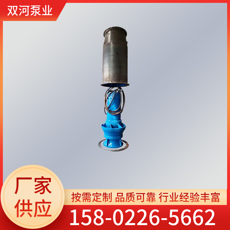 大流量潜水轴流泵 抽排海水 不锈钢材质 潜水泵 立式卧式安装