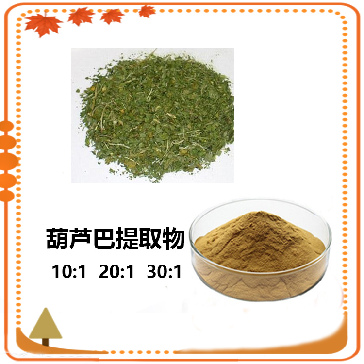 葫芦巴提取物 10:1 水提 多规格沃特莱斯生物 葫芦巴皂苷