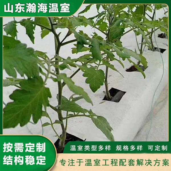 无土栽培 易于控制 设备操作简单 瀚海温室