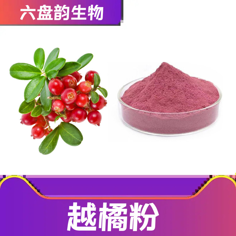 越橘粉 精细粉状 流动性好 口感佳 易溶解 易保存  10:1比例