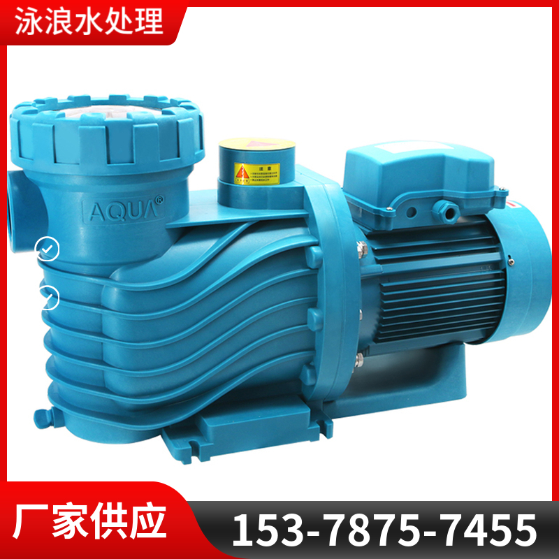 泳池过滤设备循环水泵带毛发收集器吸污泵水上乐园循环泵